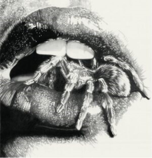 Let The Spiders In