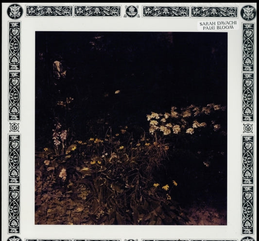 Product Image : This LP Vinyl is brand new.<br>Format: LP Vinyl<br>Music Style: Contemporary<br>This item's title is: Pale Bloom<br>Artist: Sarah Davachi<br>Label: W.25TH<br>Barcode: 857661008216<br>Release Date: 6/7/2019