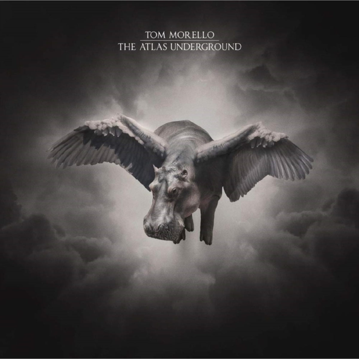 Atlas Underground (Gold & Black Splatter LP Vinyl/Dl Code)