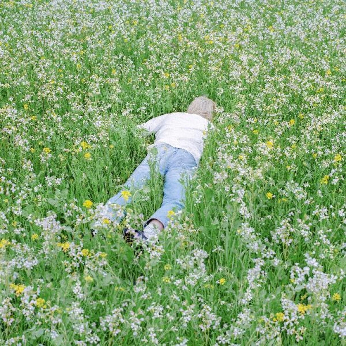 Nurture (Ultra Clear Vinyl/2LP)