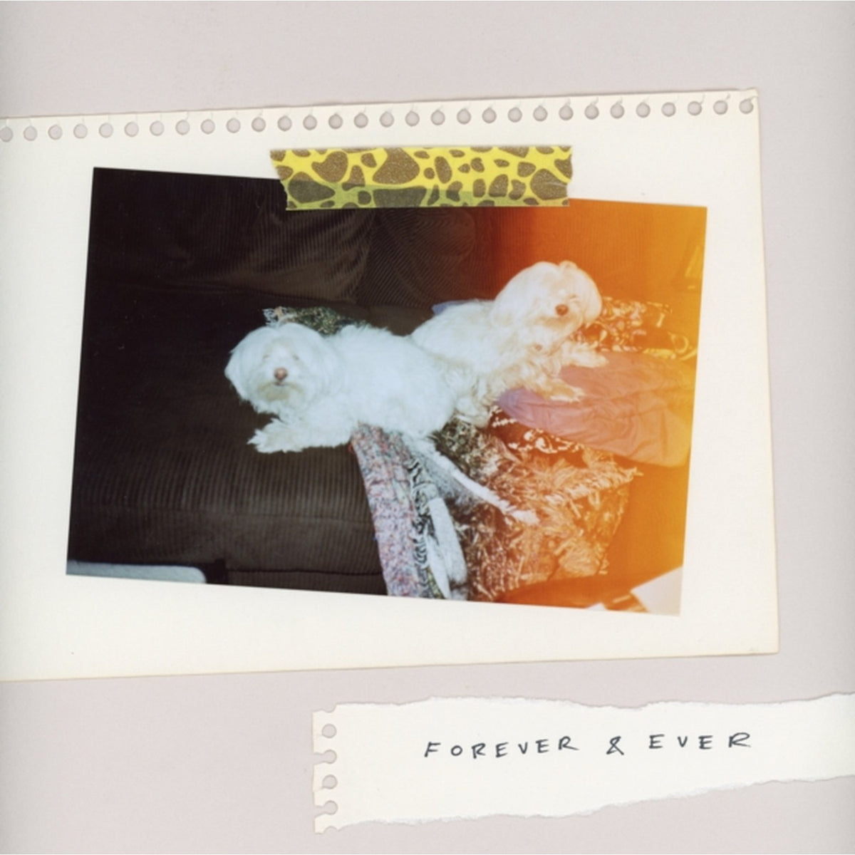 Sales LP & Forever & Ever