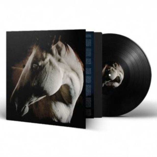 This LP Vinyl is brand new.Format: LP VinylThis item's title is: How To Kill A HorseArtist: Brother DegeBarcode: 884388871892Release Date: 10/20/2023