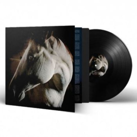 This LP Vinyl is brand new.Format: LP VinylThis item's title is: How To Kill A HorseArtist: Brother DegeBarcode: 884388871892Release Date: 10/20/2023