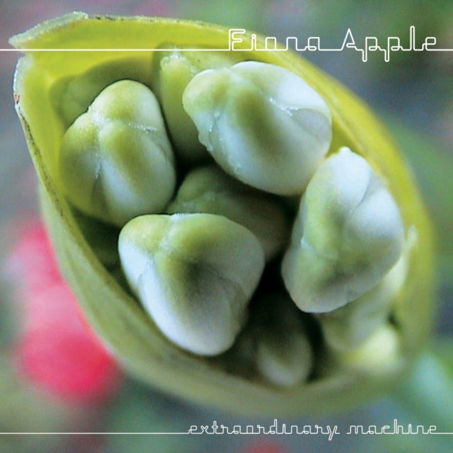 Fiona Apple - Extraordinary Machine & Tidal - CD Bundle