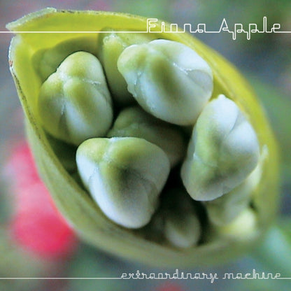 Fiona Apple - Idler Wheel Is Wiser Than The Driver & Extraordinary Machine & When The Pawn & Tidal - CD Bundle
