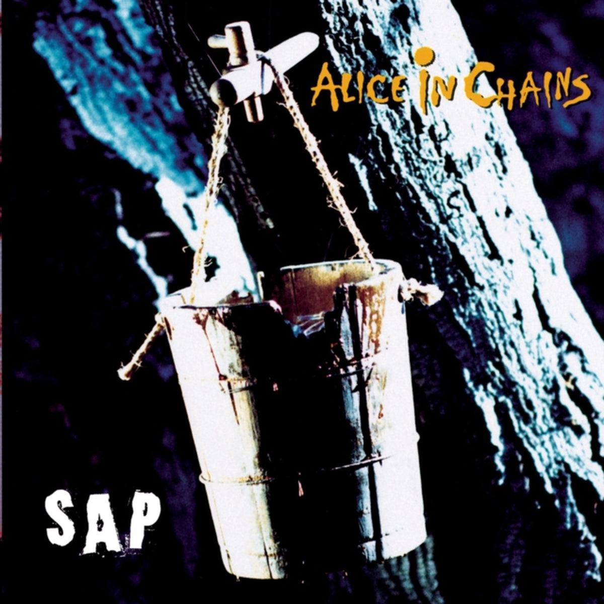 Rainier Fog & Devil Put Dinosaurs Here & Sap & Nothing Safe: Best Of The Box