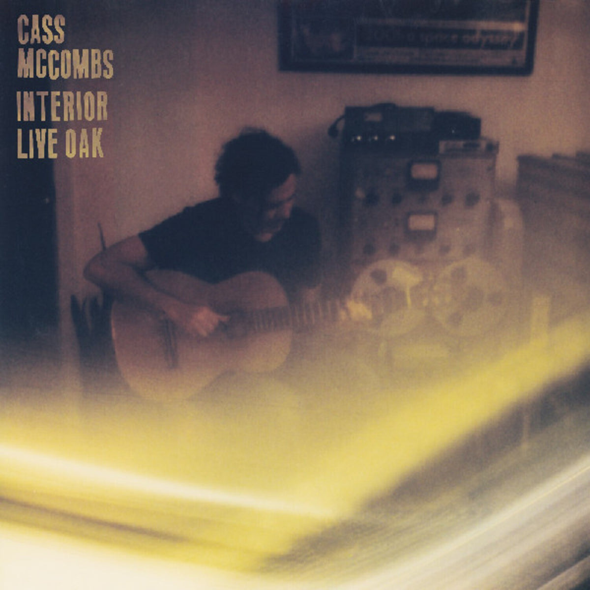 Interior Live Oak (2LP)
