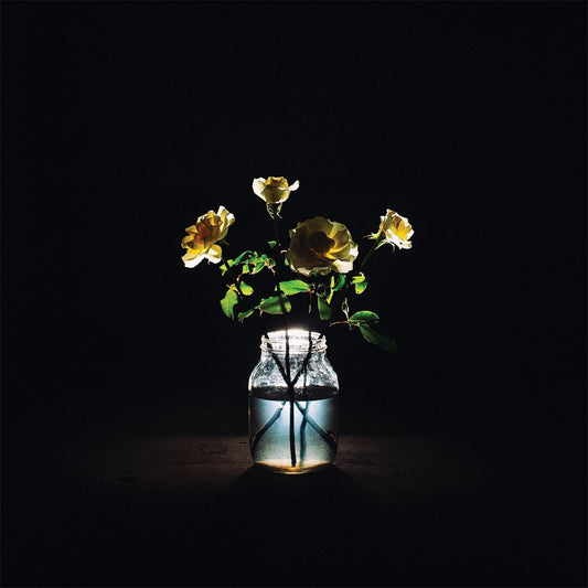 Renewal (2LP/180G)