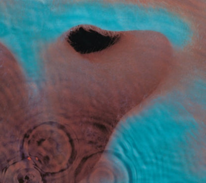 Later Years (1987 - 2019) & Meddle & Wish You Were Here & Wall