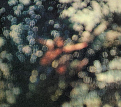 Obscured By Clouds & Division Bell