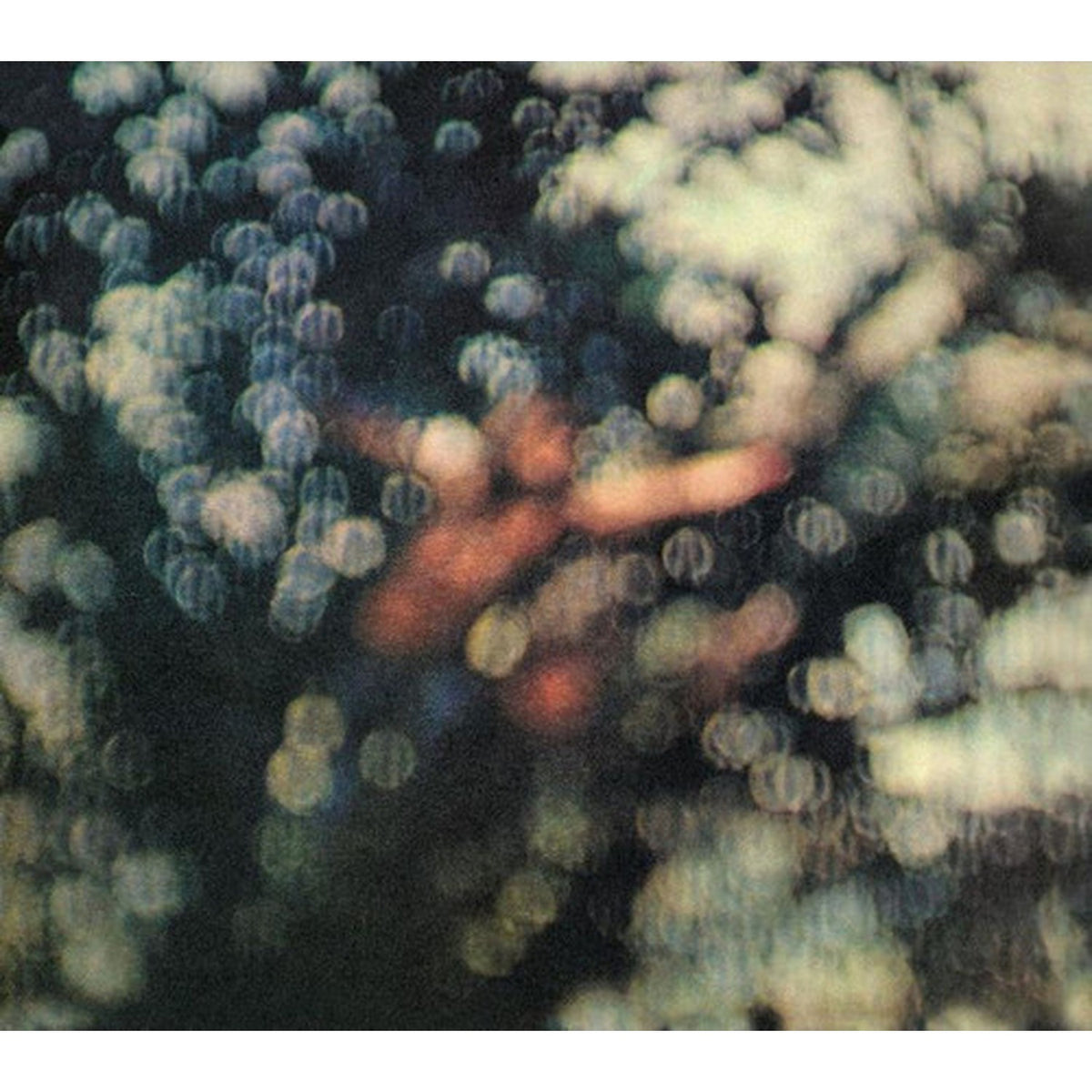 Piper At The Gates Of Dawn & Obscured By Clouds