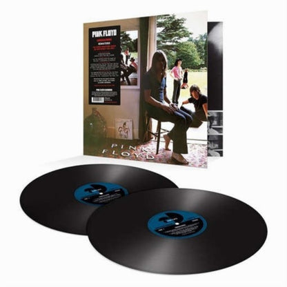 Live At Knebworth 1990 (2LP/180G/45 RPM) & Saucerful Of Secrets (Mono/180G) & Piper At The Gates Of Dawn (180G/2016 Version) & More (180G) & Ummagumma (2LP/180G/2016 Version/Gatefold) & Atom Heart Mother (180G/Gatefold/2016 Version)
