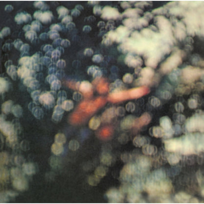 Live At Knebworth 1990 (2LP/180G/45 RPM) & Dark Side Of The Moon (50Th Anniversary Remaster) & Pink Floyd At Pompeii - Mcmlxxii (2LP) & Endless River (2LP/180G) & More (180G) & Obscured By Clouds (180G/2016 Version)