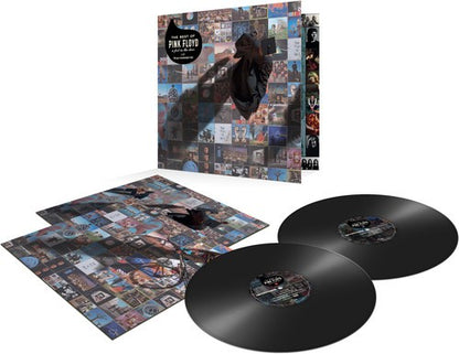 Momentary Lapse Of Reason (Remixed & Updated) (2LP/180G) & Wish You Were Here (180G) & Best Of Pink Floyd: A Foot In Door (2LP/180G Vinyl)