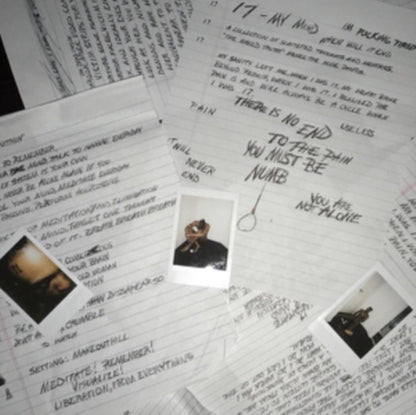 This is a 2 LP Vinyl SKU bundle.
1.This LP Vinyl is brand new.Format: LP VinylMusic Style: TrapThis item's title is: ?Artist: XxxtentacionLabel:  LLC BAD VIBES FOREVERBarcode: 842812106729Release Date: 7/13/2018
2.This LP Vinyl is brand new.