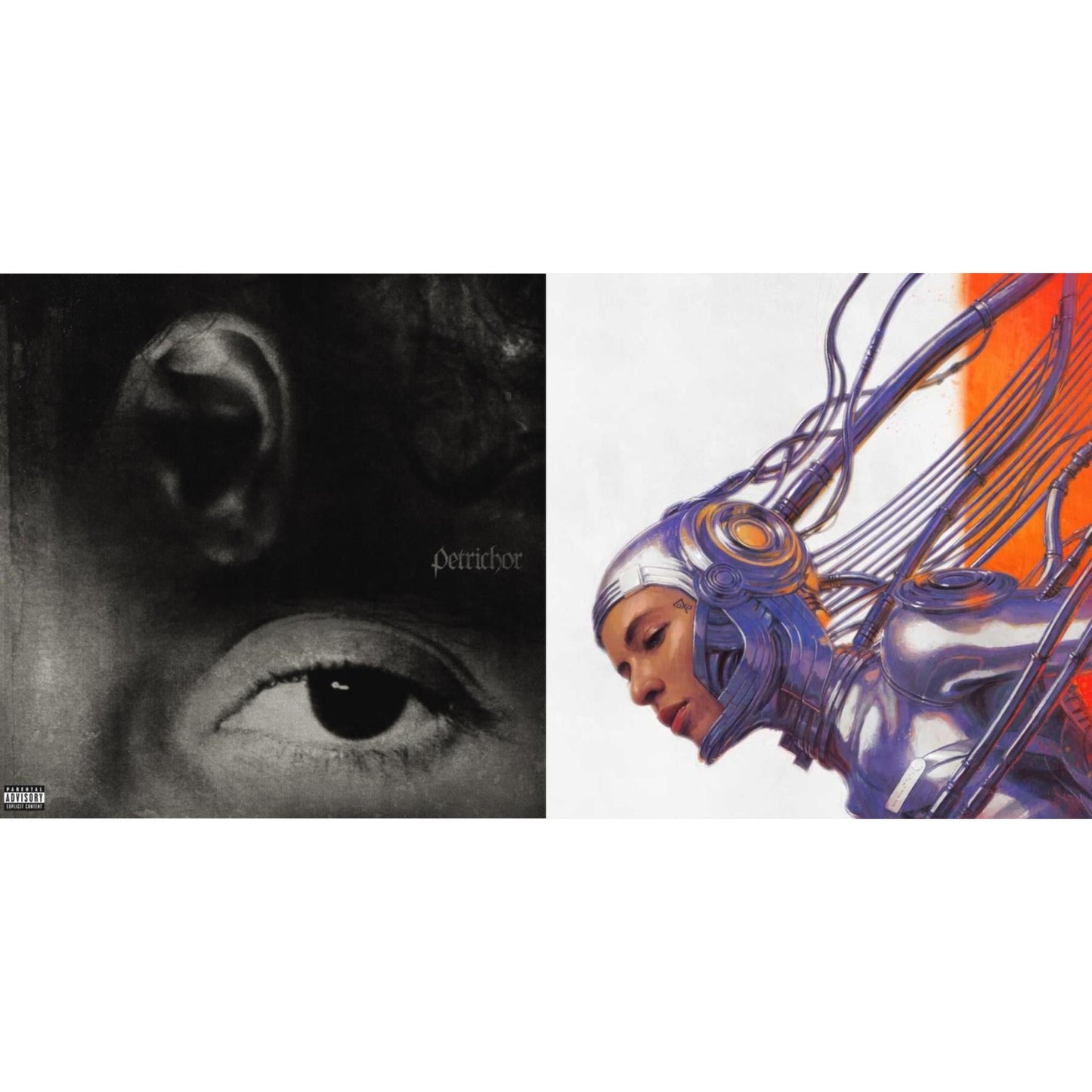 Petrichor (X) & Modus Vivendi (2LP/Orange & White Marble Vinyl)