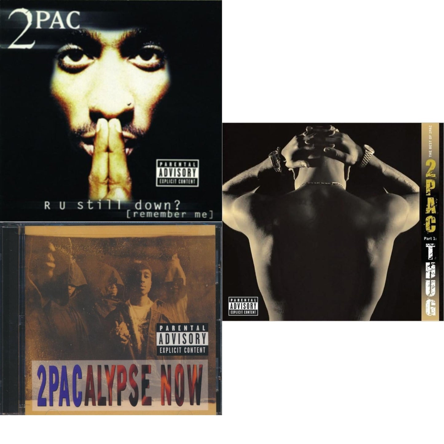 R U Still Down & 2Pacalypse Now & Best Of 2Pac Part 1: Thug