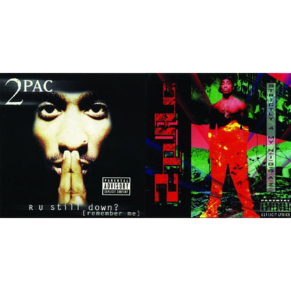 R U Still Down & Strictly 4 My N.I.G.G.A.Z.