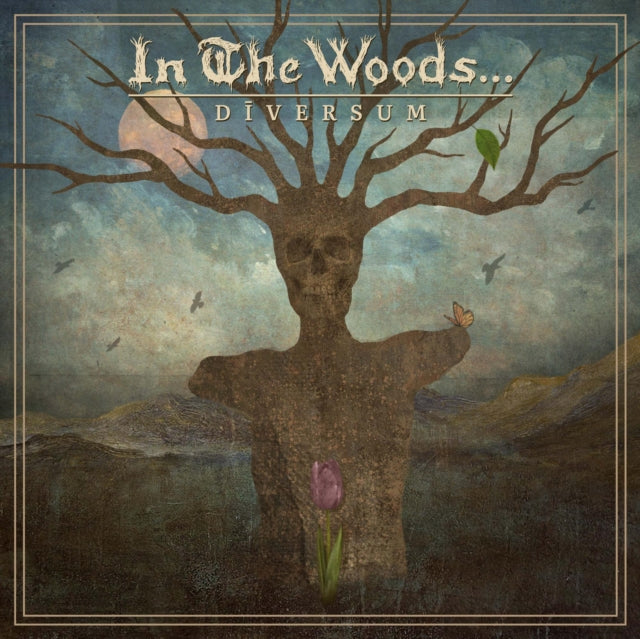 This LP Vinyl is brand new.Format: LP VinylMusic Style: Progressive MetalThis item's title is: DiversumArtist: In The WoodsLabel: SOULSELLERBarcode: 3663663010631Release Date: 11/25/2022