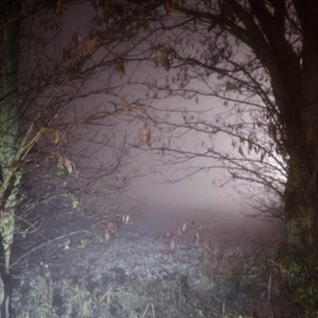 This LP Vinyl is brand new.Format: LP VinylMusic Style: LeftfieldThis item's title is: Closer NowArtist: Earth TraxLabel: LAPSUS RECORDSBarcode: 4062548052268Release Date: 3/3/2023