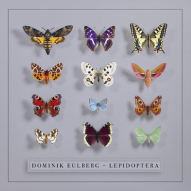 Lepidoptera (2LP)