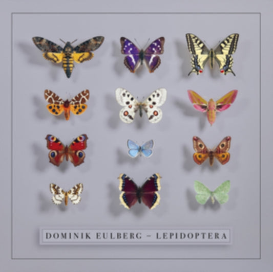 Lepidoptera (2LP)