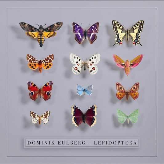 Lepidoptera (2LP)