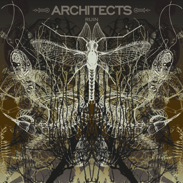 Ruin (Limited/Picture Disc)
