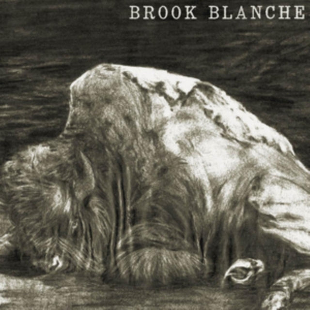 This LP Vinyl is brand new.Format: LP VinylMusic Style: CountryThis item's title is: Brook BlancheArtist: Brook BlancheLabel: BRECKBarcode: 4250019903960Release Date: 4/14/2017