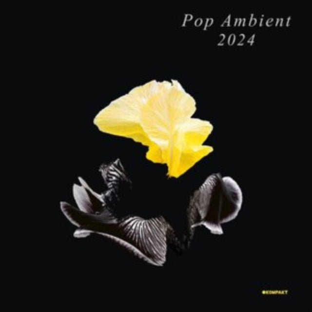 This CD is brand new.Format: CDMusic Style: Indie RockThis item's title is: Pop Ambient 2024Artist: Various ArtistsLabel: Not On LabelBarcode: 4250101463839Release Date: 12/22/2023