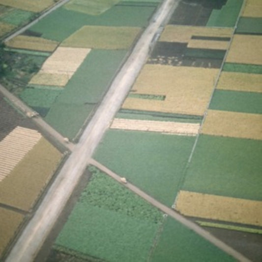 This LP Vinyl is brand new.Format: LP VinylThis item's title is: Perfectly Beneath Us (Remastered)Artist: CelerBarcode: 4250101467547Release Date: 6/28/2024