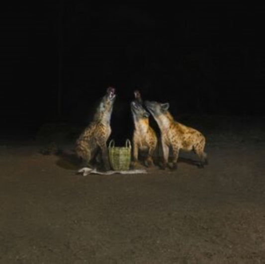 Suicide Disco (2LP)