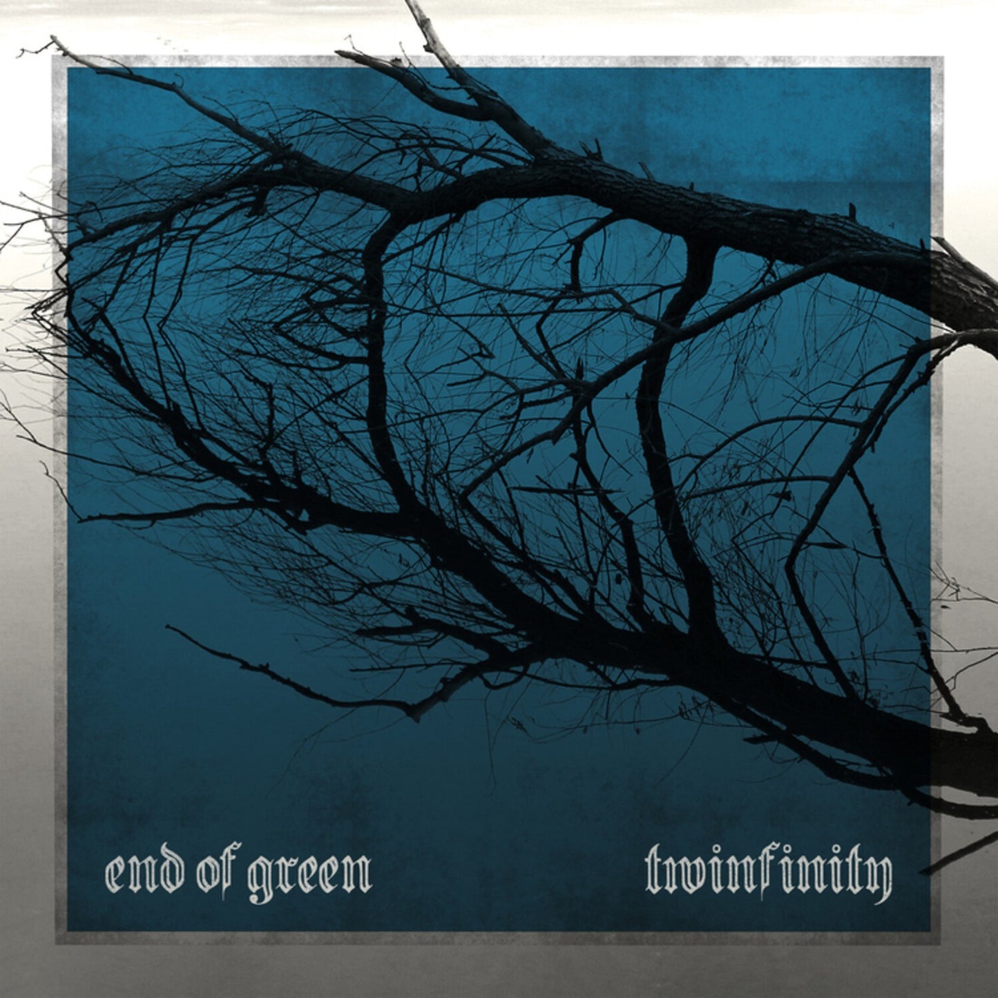 Twinfinity (2CD)