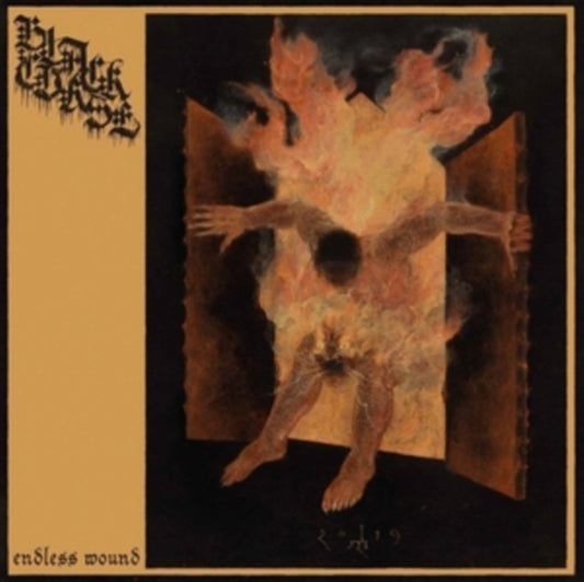 This LP Vinyl is brand new.Format: LP VinylMusic Style: Death MetalThis item's title is: Endless WoundArtist: Black CurseLabel: Sepulchral Voice RecordsBarcode: 4260255249364Release Date: 3/15/2024