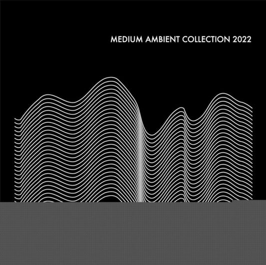 This LP Vinyl is brand new.Format: LP VinylThis item's title is: Medium Ambient Collection 2022 (2LP)Artist: Various ArtistsBarcode: 4988044097735Release Date: 4/5/2024