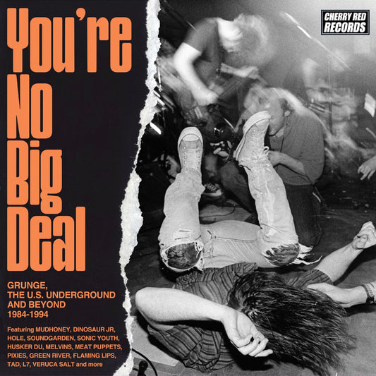 You're No Big Deal - Grunge, The U.S. Underground & Beyond 1984-1994 (4CD)