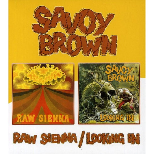 Raw Sienna / Looking In