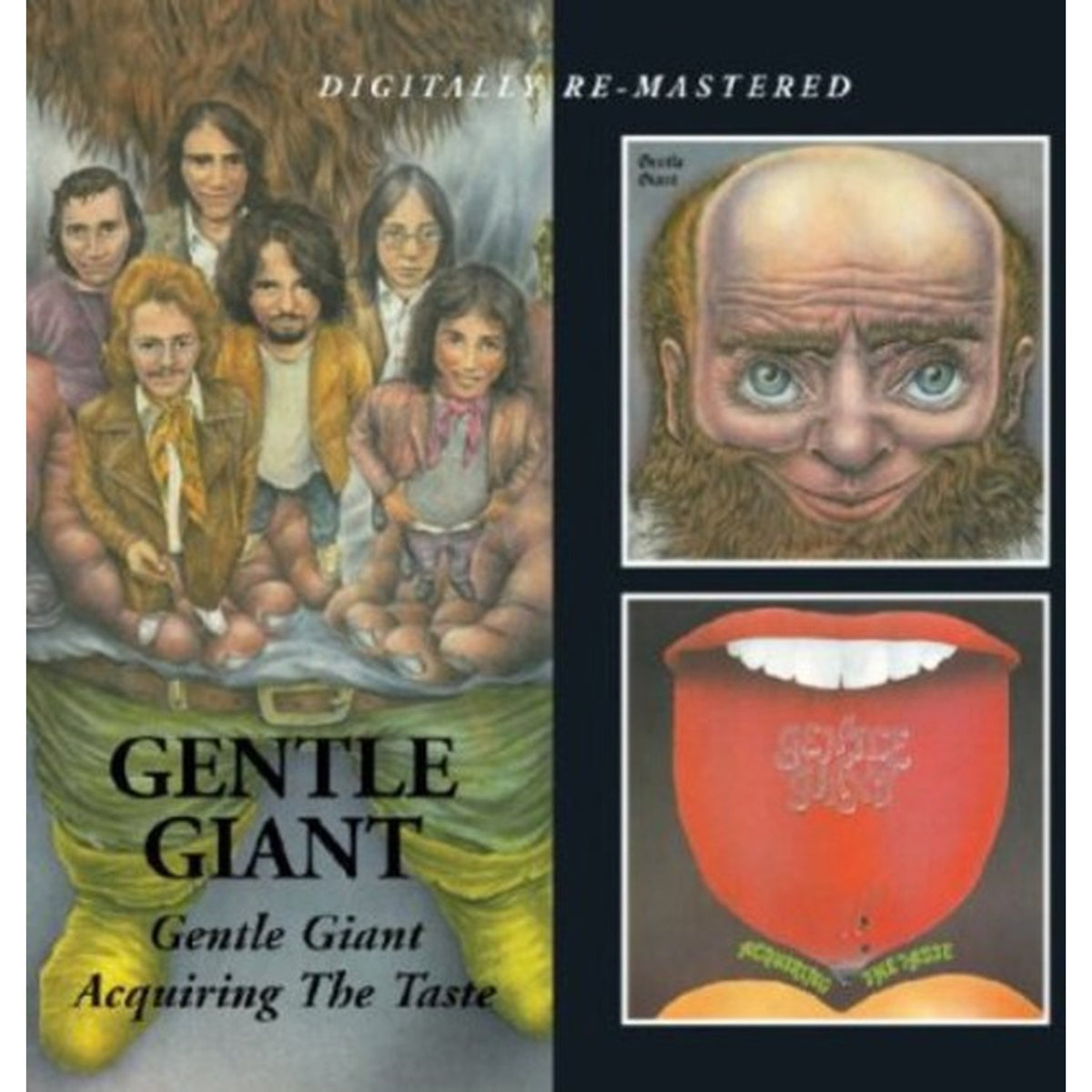 Gentle Giant / Acquiring The Taste (Remastered)