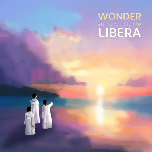 Wonder, An Introduction To