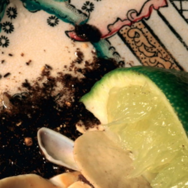 Product Image : This LP Vinyl is brand new.<br>Format: LP Vinyl<br>Music Style: Ambient<br>This item's title is: Plays Bee Mask (2LP)<br>Artist: Donato Dozzy<br>Label: SPECTRUM SPOOLS<br>Barcode: 5050580597877<br>Release Date: 2/17/2023