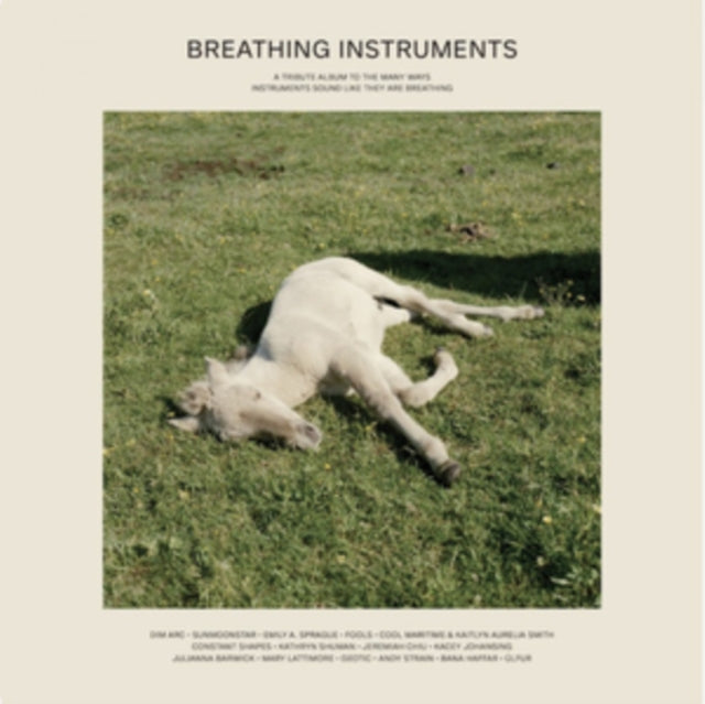 This LP Vinyl is brand new.Format: LP VinylMusic Style: AmbientThis item's title is: Breathing InstrumentsArtist: Various ArtistsLabel: TOUCHTHEPLANTSBarcode: 5051142007506Release Date: 9/18/2020