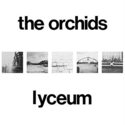 Lyceum (2LP)