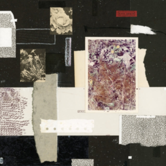 This LP Vinyl is brand new.Format: LP VinylThis item's title is: Serenity Now (Ecomix Color LP Vinyl)Artist: HailakerBarcode: 5052442026259Release Date: 8/16/2024