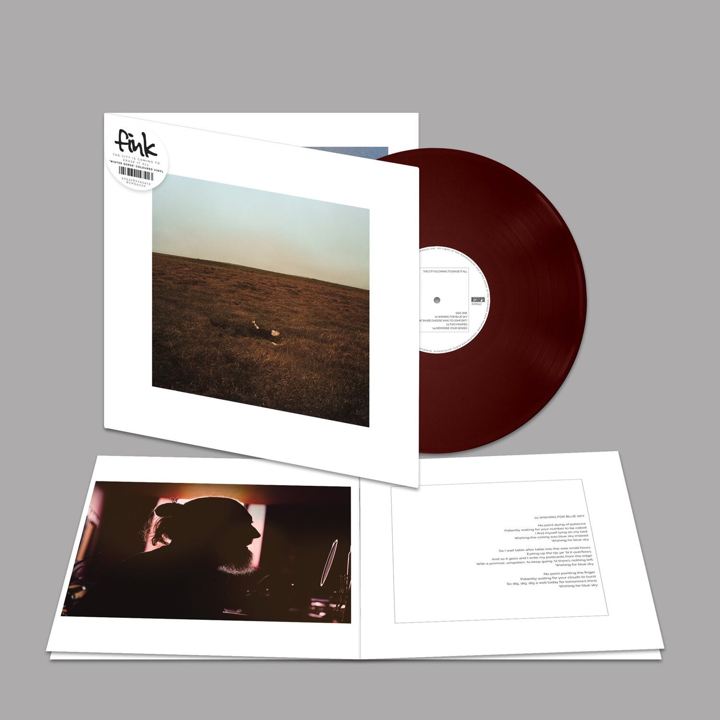 City Is Coming To Erase It All (Winter Gorse Colour LP Vinyl)