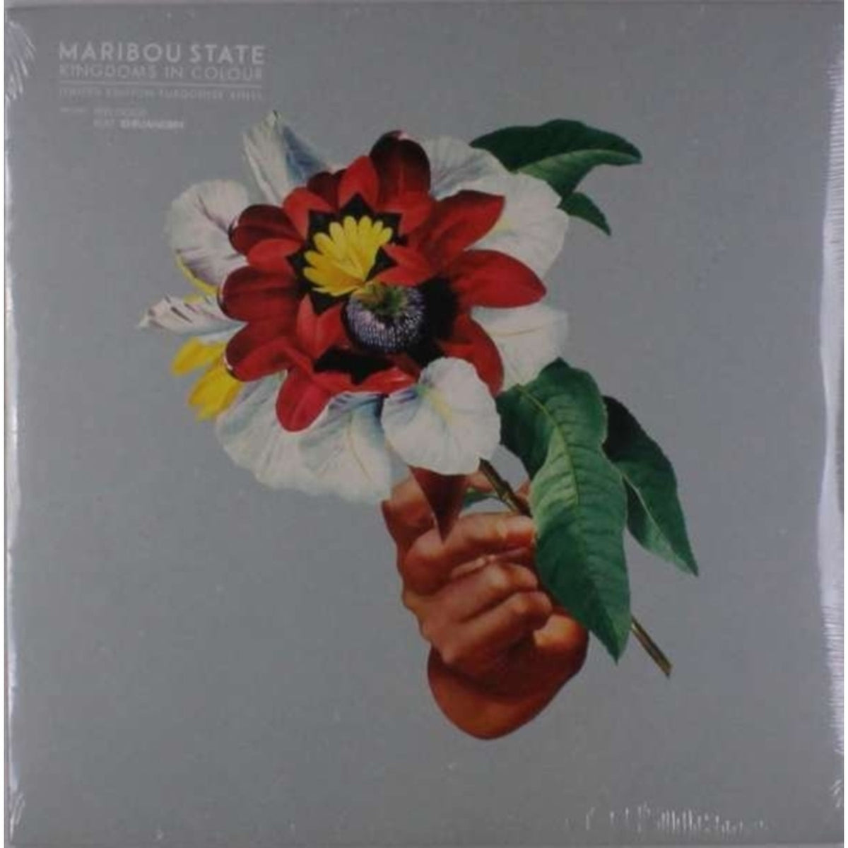 Kingdoms In Colour (Color LP Vinyl)