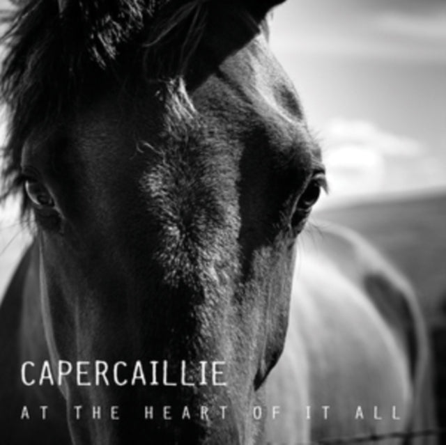 This CD is brand new.Format: CDMusic Style: HouseThis item's title is: At The Heart Of It AllArtist: CapercaillieBarcode: 5055014600734Release Date: 8/26/2013