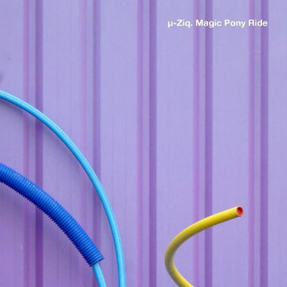 Goodbye & Magic Pony Ride (2LP)