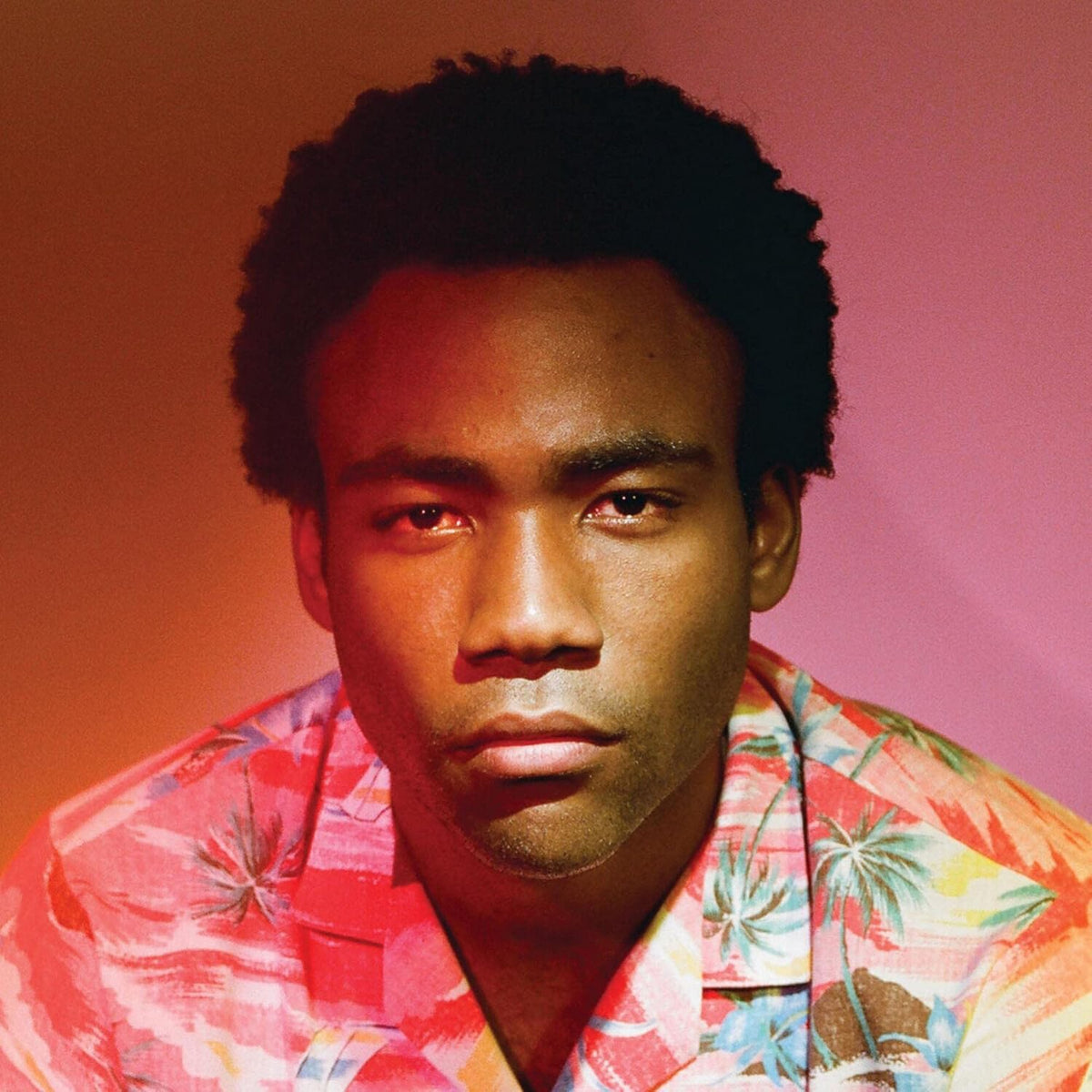 Childish Gambino - Because The Internet & Camp - LP Vinyl Bundle