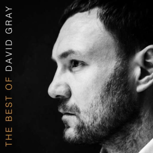 Best Of David Gray