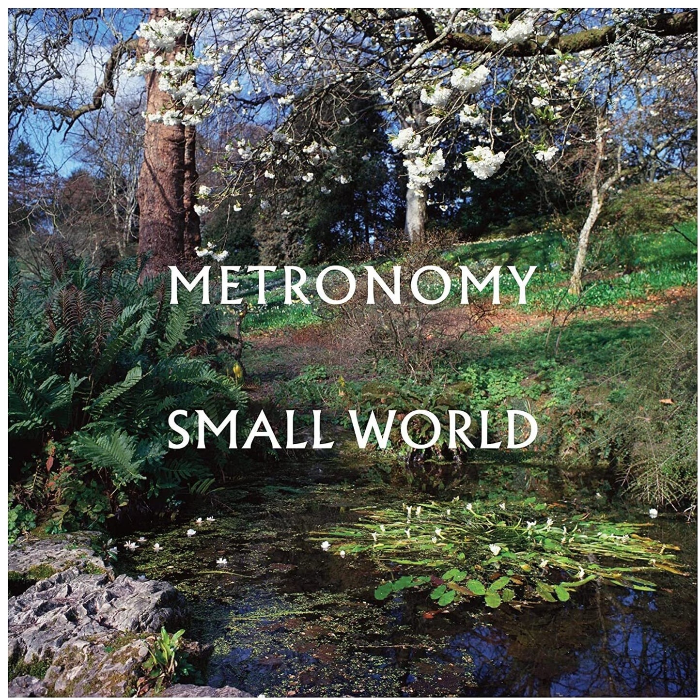 Bbc Sessions (2LP) & Small World